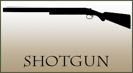 Shotgun