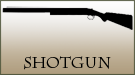 Shotgun